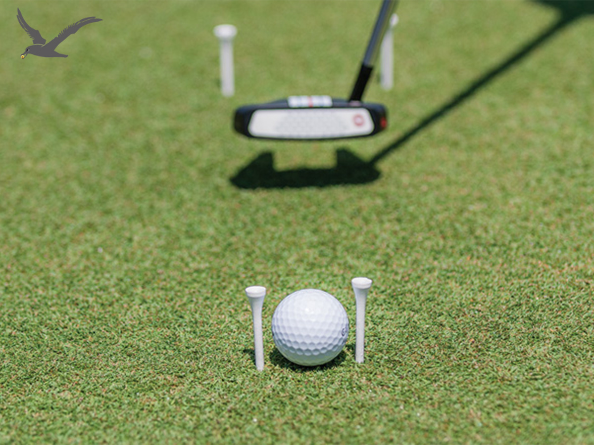 Mastering Your Putting Skills: The Gate Drill